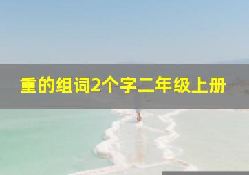 重的组词2个字二年级上册