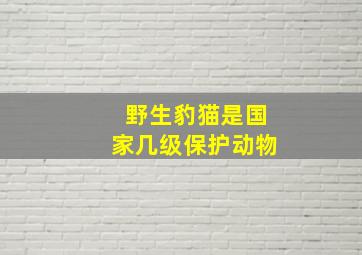 野生豹猫是国家几级保护动物