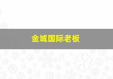 金城国际老板