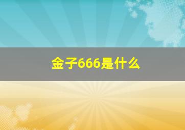 金子666是什么