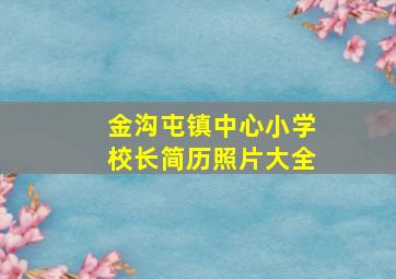 金沟屯镇中心小学校长简历照片大全