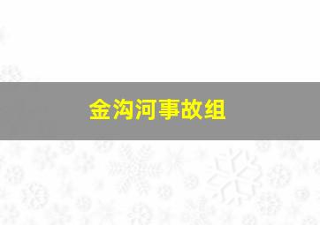 金沟河事故组