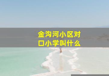 金沟河小区对口小学叫什么