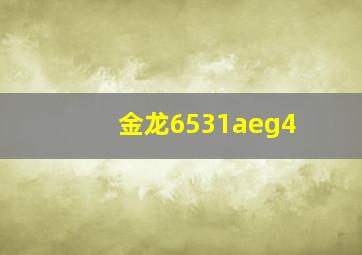 金龙6531aeg4