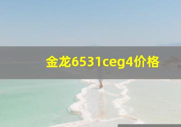 金龙6531ceg4价格