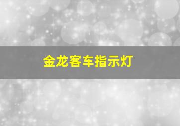 金龙客车指示灯