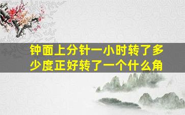 钟面上分针一小时转了多少度正好转了一个什么角