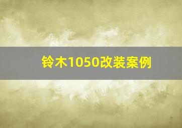 铃木1050改装案例