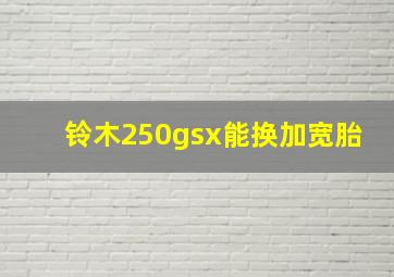 铃木250gsx能换加宽胎