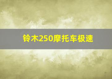 铃木250摩托车极速