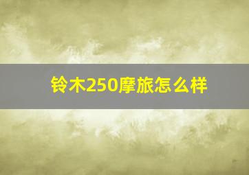 铃木250摩旅怎么样