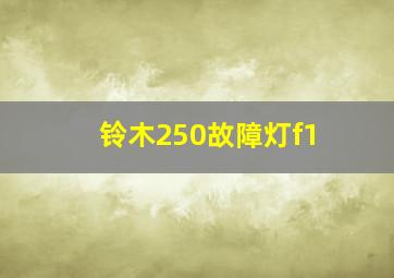 铃木250故障灯f1