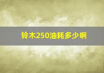 铃木250油耗多少啊