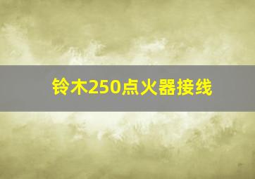 铃木250点火器接线