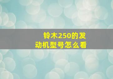 铃木250的发动机型号怎么看