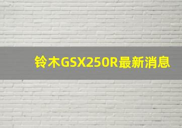 铃木GSX250R最新消息