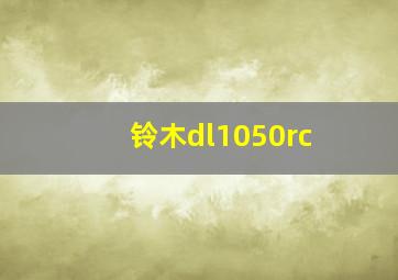 铃木dl1050rc