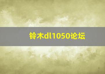 铃木dl1050论坛