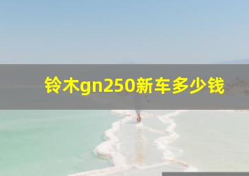 铃木gn250新车多少钱