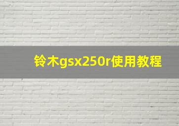 铃木gsx250r使用教程