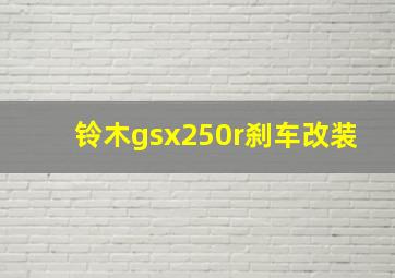 铃木gsx250r刹车改装