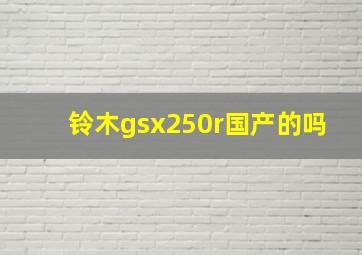 铃木gsx250r国产的吗