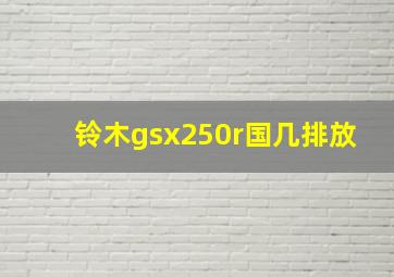 铃木gsx250r国几排放