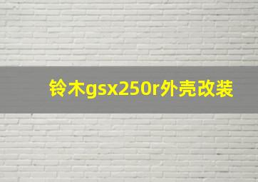 铃木gsx250r外壳改装