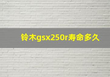 铃木gsx250r寿命多久