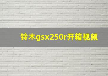 铃木gsx250r开箱视频