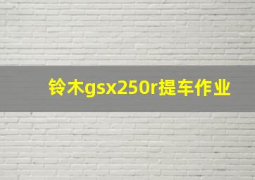 铃木gsx250r提车作业