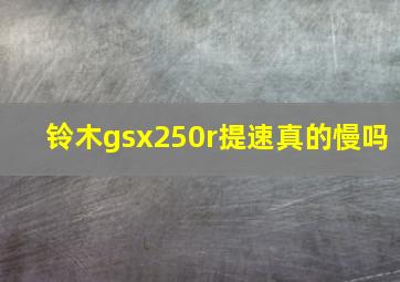 铃木gsx250r提速真的慢吗