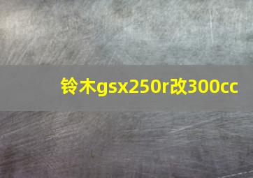 铃木gsx250r改300cc