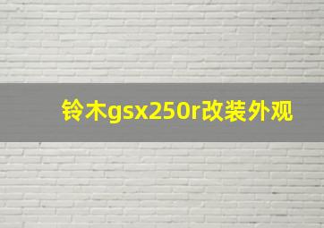 铃木gsx250r改装外观