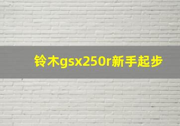 铃木gsx250r新手起步