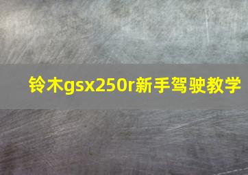 铃木gsx250r新手驾驶教学