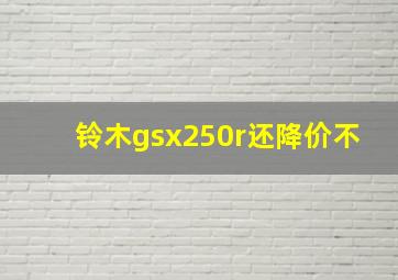 铃木gsx250r还降价不