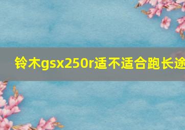 铃木gsx250r适不适合跑长途