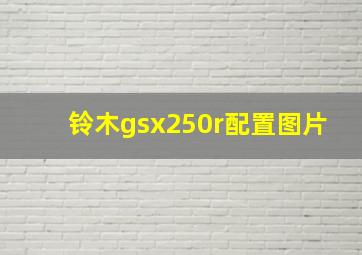 铃木gsx250r配置图片