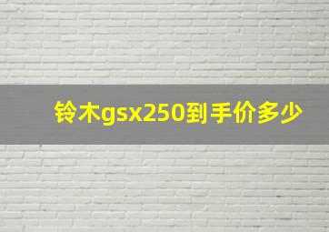 铃木gsx250到手价多少