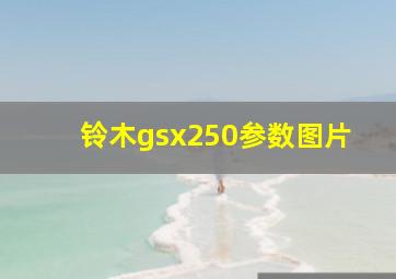 铃木gsx250参数图片