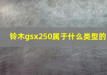 铃木gsx250属于什么类型的