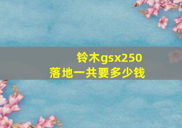 铃木gsx250落地一共要多少钱