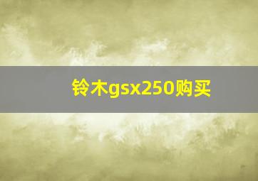 铃木gsx250购买