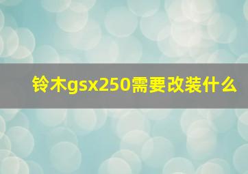 铃木gsx250需要改装什么