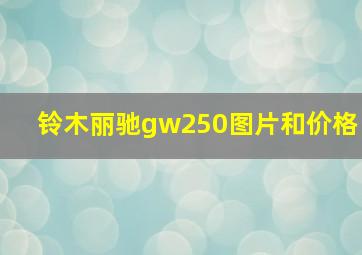 铃木丽驰gw250图片和价格