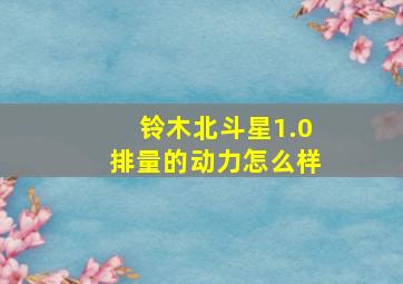 铃木北斗星1.0排量的动力怎么样