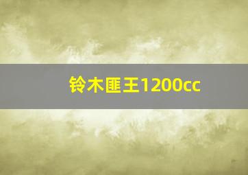 铃木匪王1200cc