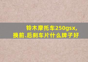 铃木摩托车250gsx,换前.后刹车片什么牌子好