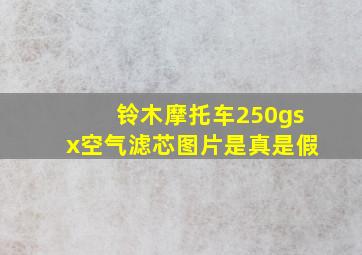 铃木摩托车250gsx空气滤芯图片是真是假